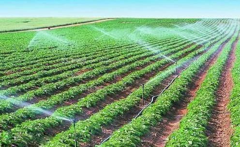 骚逼水直流农田高 效节水灌溉